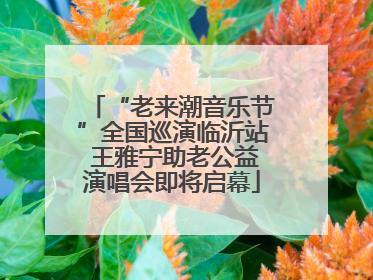 “老来潮音乐节”全国巡演临沂站 王雅宁助老公益演唱会即将启幕